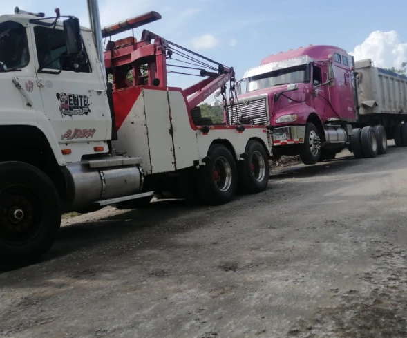 gruas panama